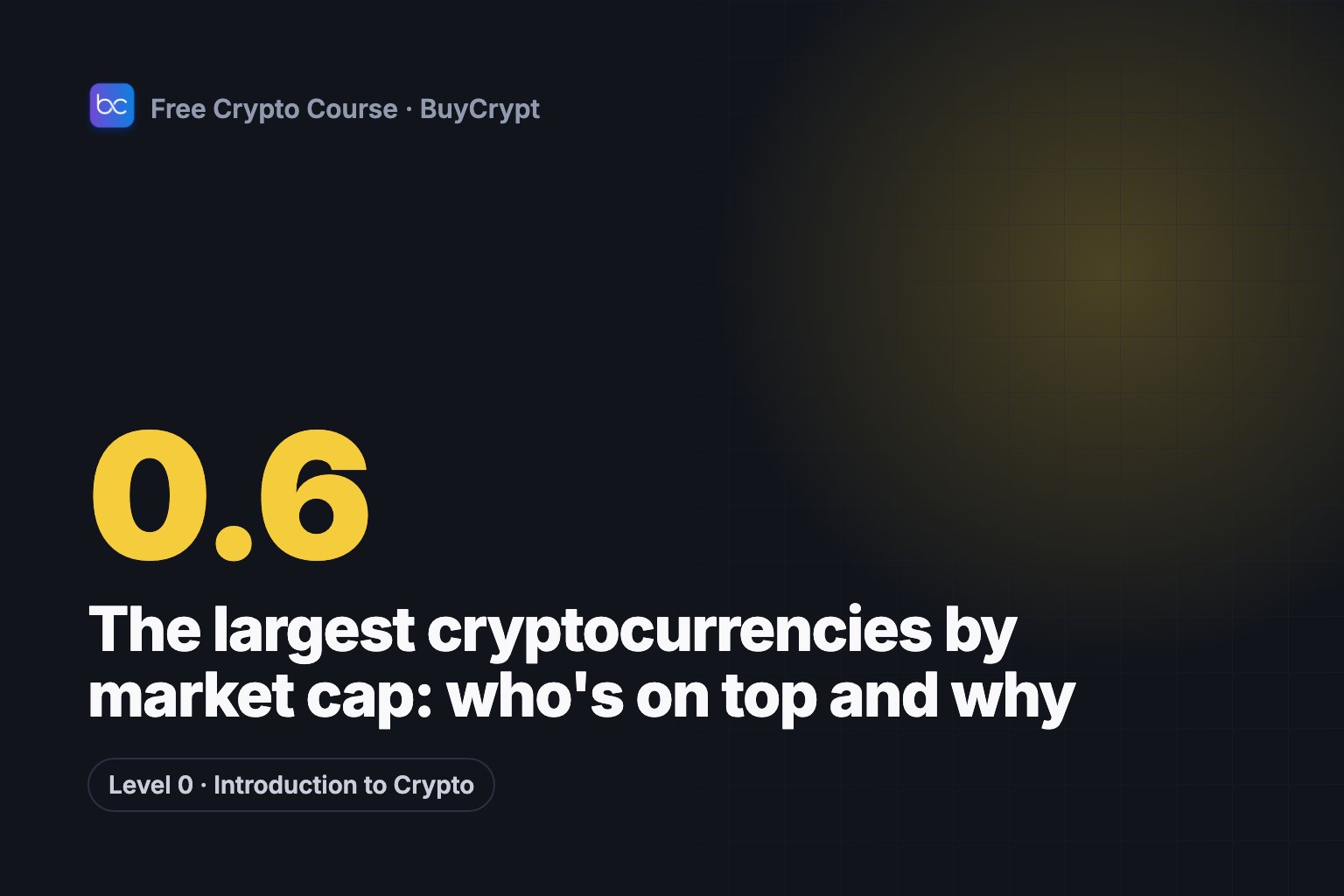 The largest cryptocurrencies by market cap: who's on top and why