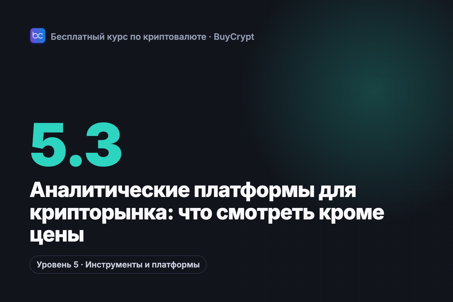 Аналитические платформы для крипторынка: что смотреть кроме цены