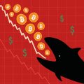Киты XRP купили 120 миллионов токенов на фоне обвала капитализации
