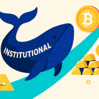 Crypto Whales and Institutional Investors Driving Market Cycles