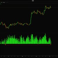 Bitcoin Breaks W-Shape Pattern, Eyes $104,000: Crypto Rover’s Forecast