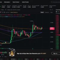 Dogecoin формирует бычий флаг: прогноз аналитика из 99Bitcoins